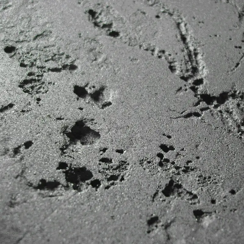Pitting Corrosion