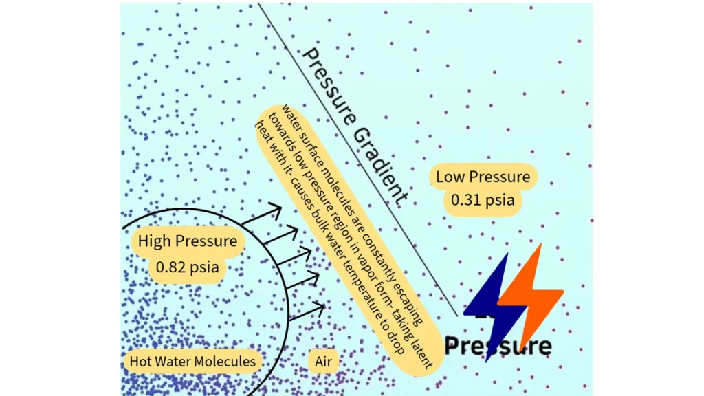 Vapor Pressure Gradient: The Driving Force for Evaporation